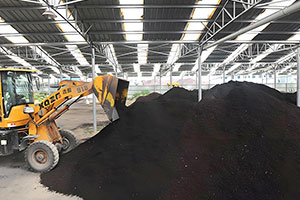 Recipe for making organic fertilizer through chicken manure fermentation