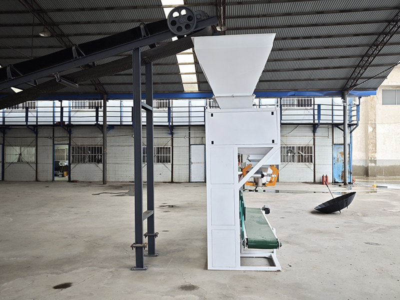 IMG_20251017_084356.jpg